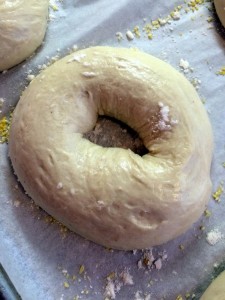 Formed Bagel Dough (2)