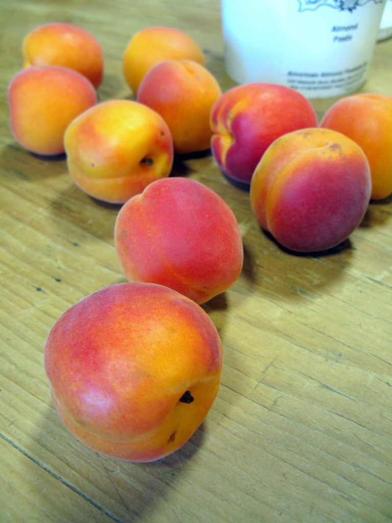 Ripe summer apricots ready for baking