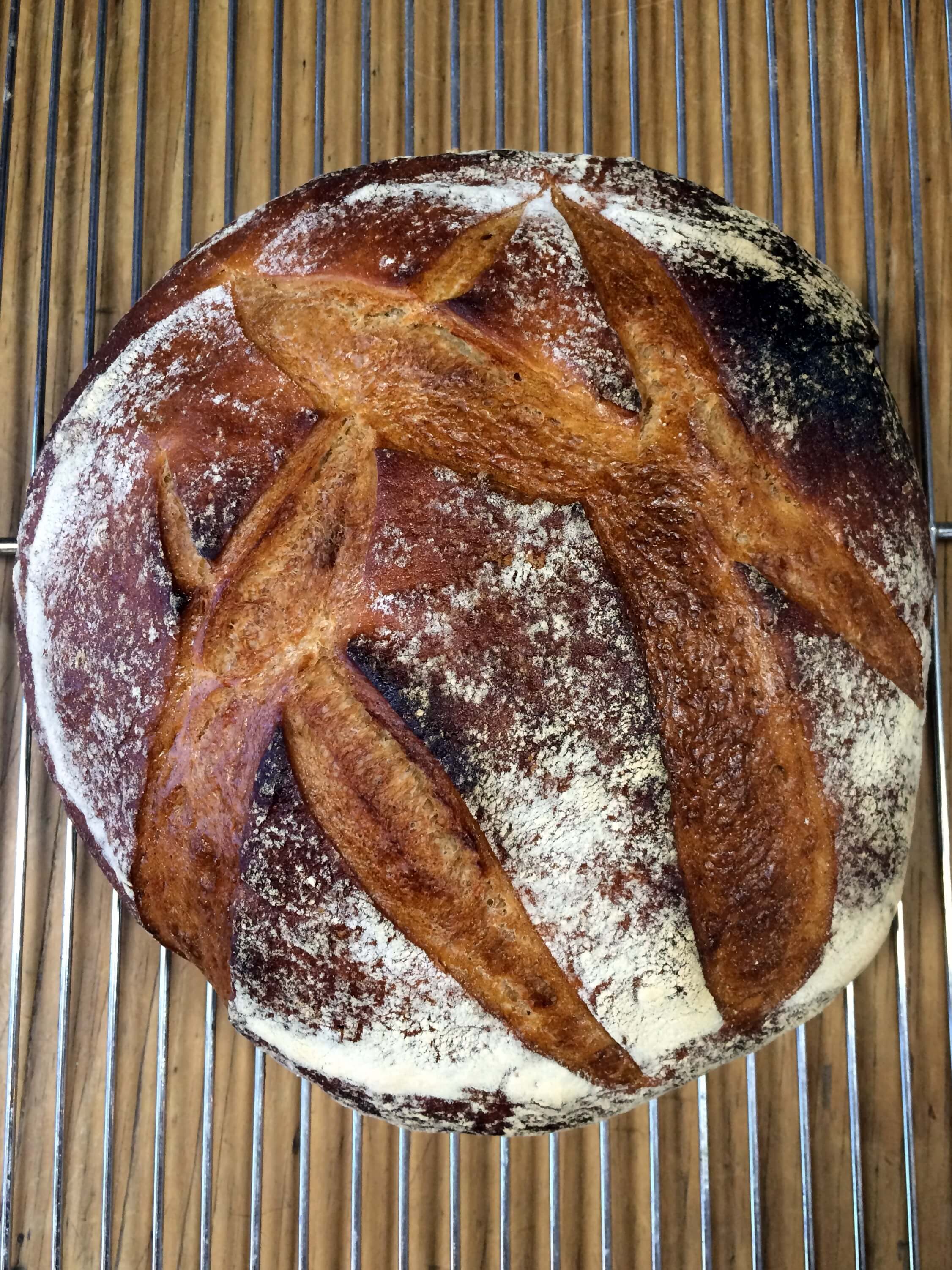 https://priscillamartel.com/wp-content/uploads/2016/10/Loaf-burnished-and-golden-from-steam-in-the-oven.jpg