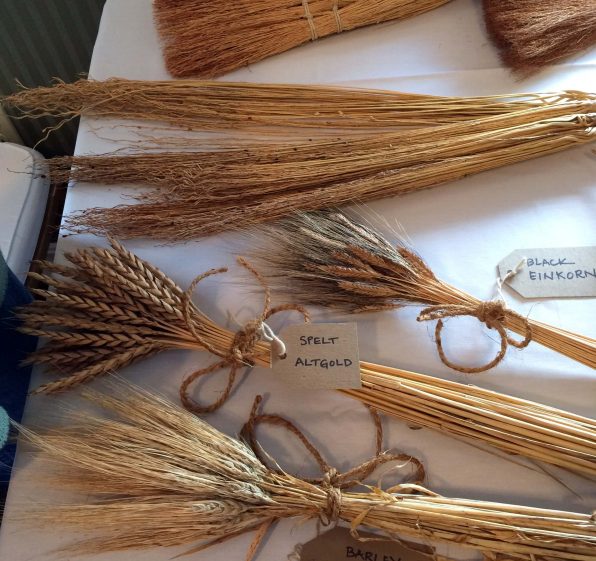 Varieties of Wheat Grown in Vermont