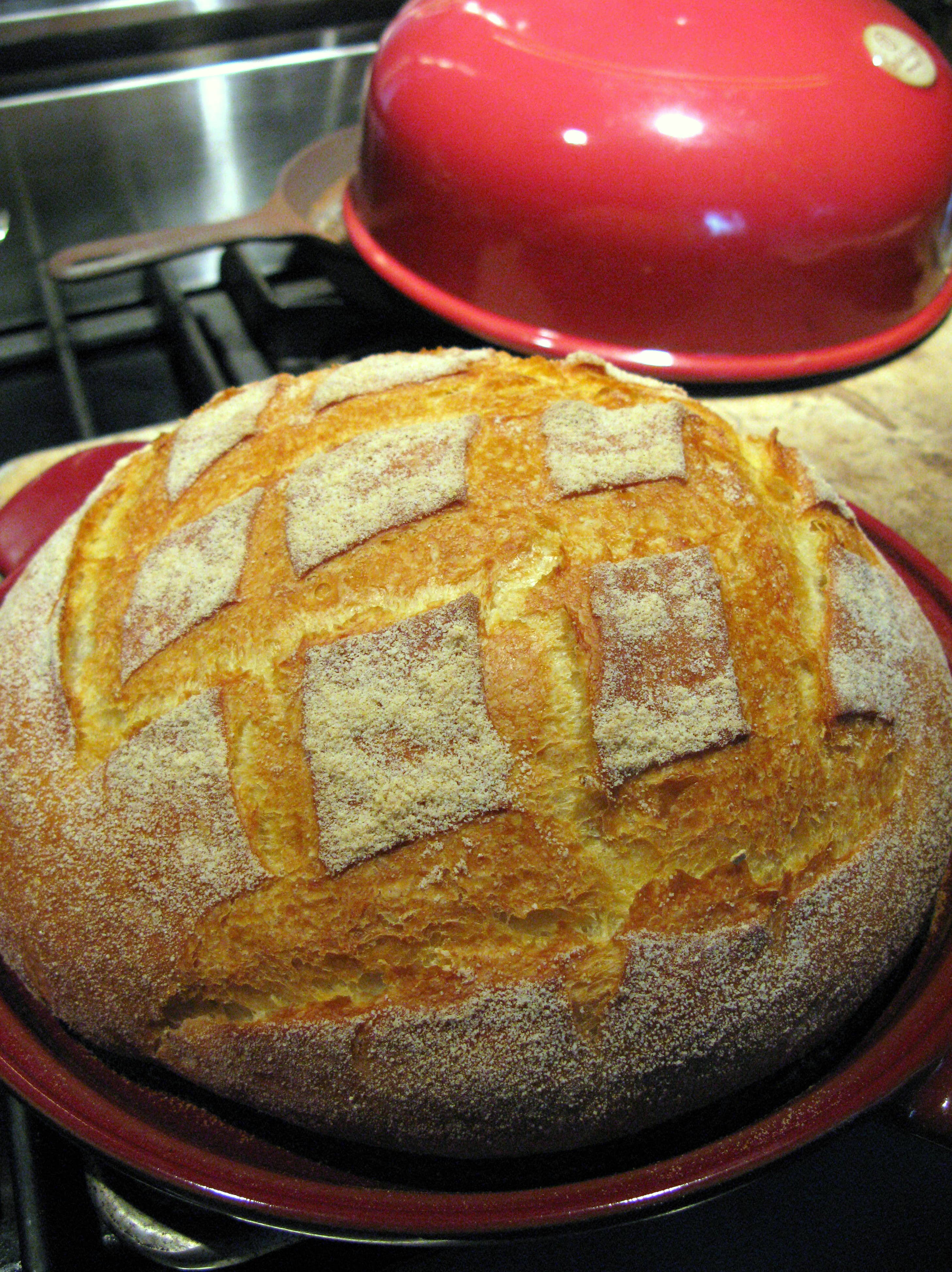 https://priscillamartel.com/wp-content/uploads/2016/10/Well-risen-golden-brown-loaf-after-baking.jpg
