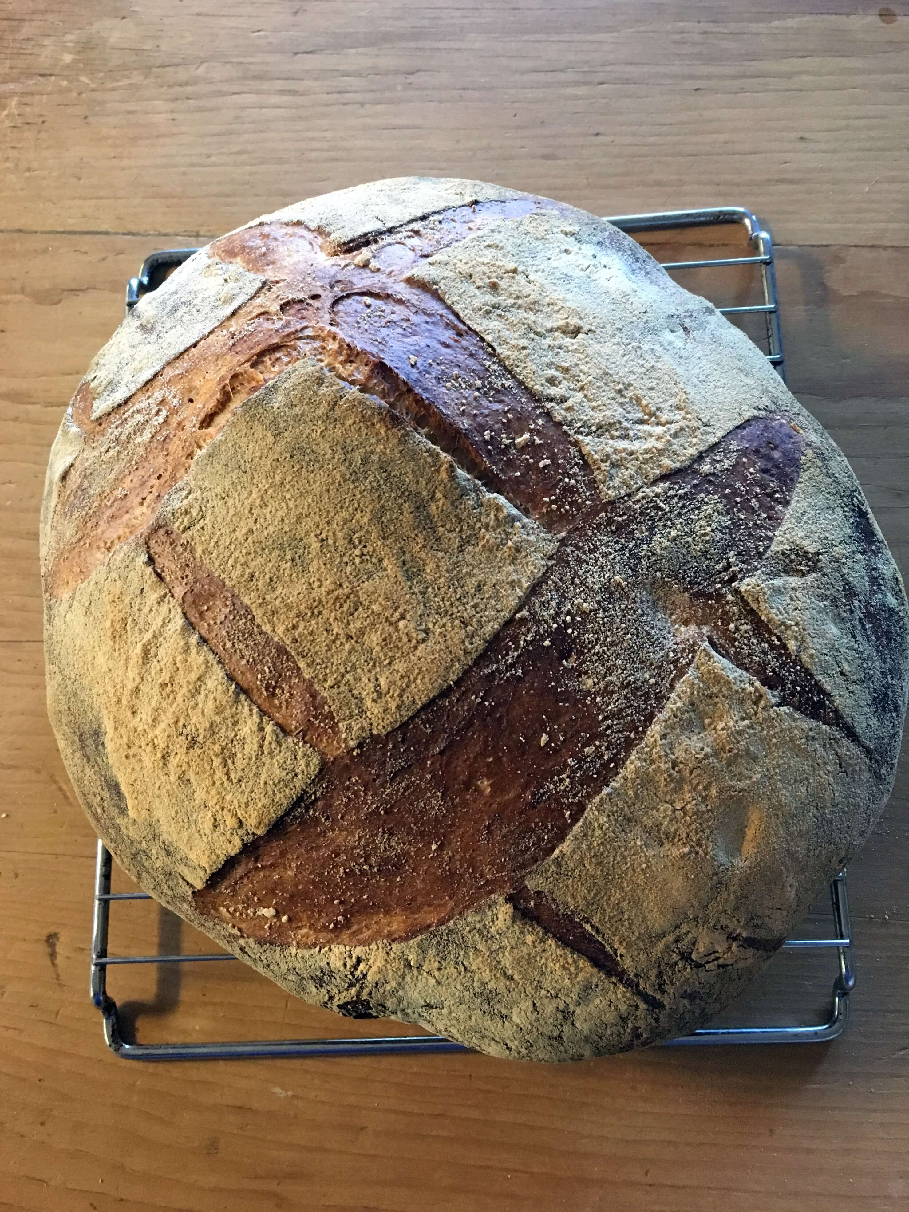 Country Wheat and Rye Boule