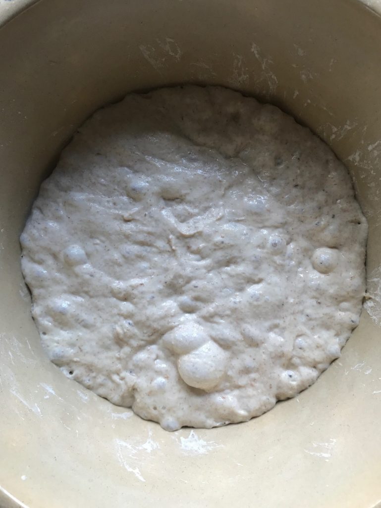 No knead dough after serveral hours fermentinh