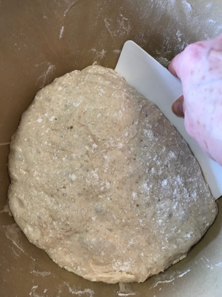 Using dough scfaper to move no knead bread dough