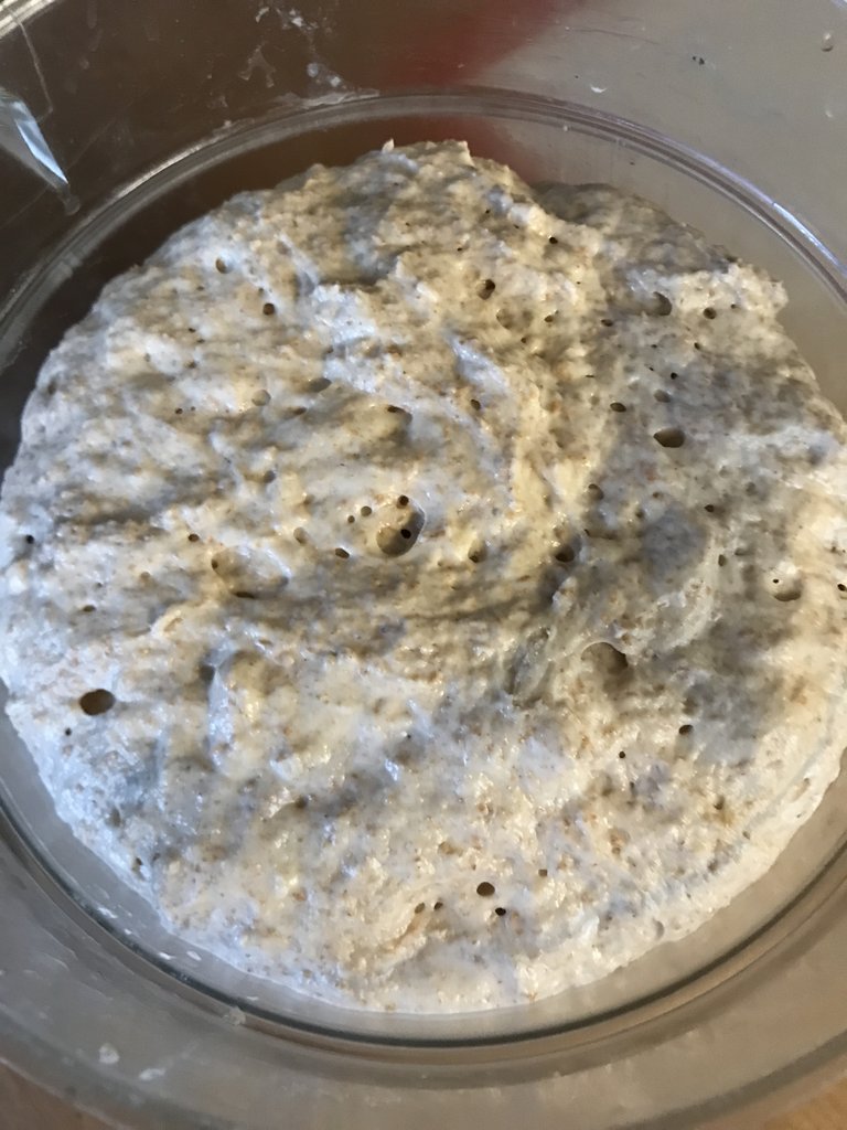 14 Surafce of risen dough