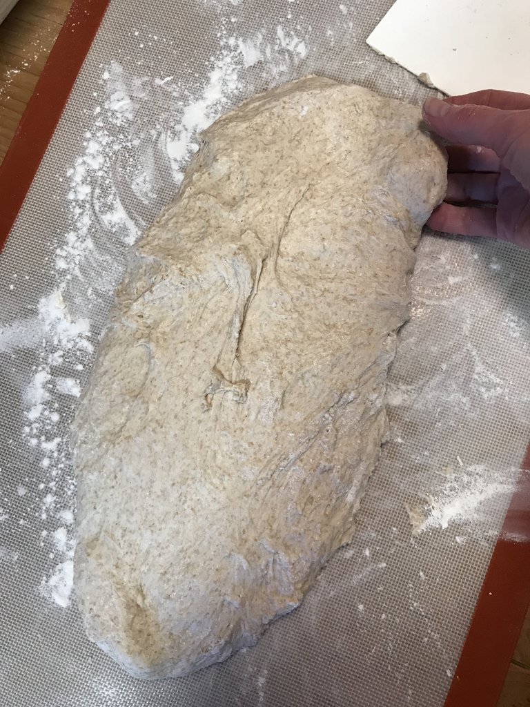 16 pat the dough into an oblong shape