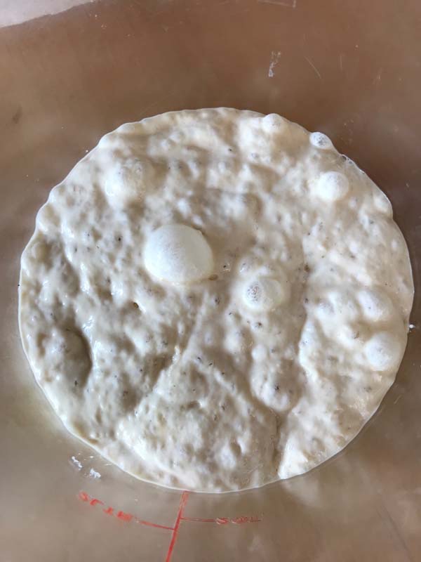Bubbly fermented dough