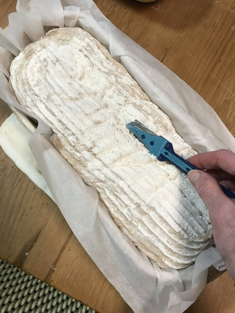 Scoring the loaf